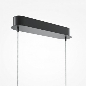 Подвесной светильник Maytoni Light Reflection MOD243PL-L18BK в Озерске - ozersk.mebel24.online | фото 6
