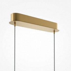Подвесной светильник Maytoni Light Reflection MOD243PL-L18BSK в Озерске - ozersk.mebel24.online | фото 5