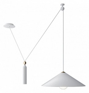 Подвесной светильник Maytoni Peso P080PL-01W в Озерске - ozersk.mebel24.online | фото 2
