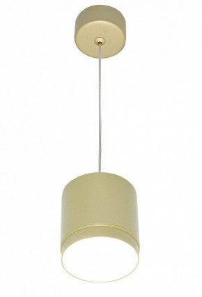 Подвесной светильник Maytoni Polar P088PL-GX53-MG в Озерске - ozersk.mebel24.online | фото 3