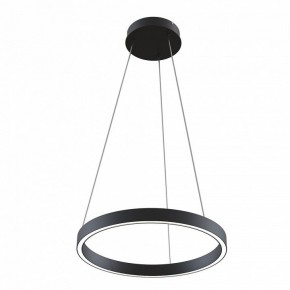 Подвесной светильник Maytoni Rim MOD058PL-L22BK в Озерске - ozersk.mebel24.online | фото 2
