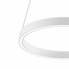 Подвесной светильник Maytoni Rim MOD058PL-L22WK в Озерске - ozersk.mebel24.online | фото 4