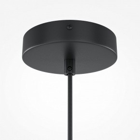 Подвесной светильник Maytoni Roots MOD195PL-01W в Озерске - ozersk.mebel24.online | фото 3