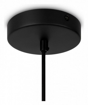 Подвесной светильник Maytoni Roots MOD195PL-01W1 в Озерске - ozersk.mebel24.online | фото 4