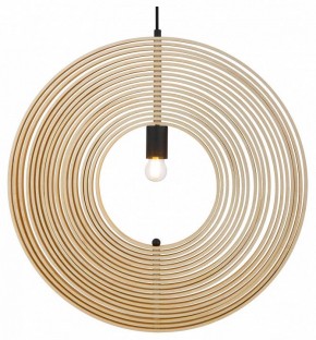 Подвесной светильник Maytoni Roots MOD197PL-01W2 в Озерске - ozersk.mebel24.online | фото 2