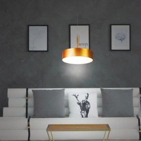 Подвесной светильник Novotech Prometa 358766 в Озерске - ozersk.mebel24.online | фото 5