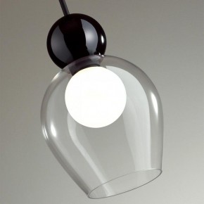 Подвесной светильник Odeon Light Blacky 2 5023/1 в Озерске - ozersk.mebel24.online | фото 6