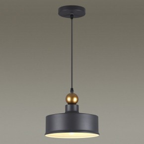 Подвесной светильник Odeon Light Bolli 4088/1 в Озерске - ozersk.mebel24.online | фото 4