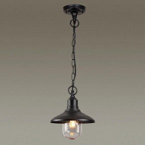 Подвесной светильник Odeon Light Campa 4965/1 в Озерске - ozersk.mebel24.online | фото 2
