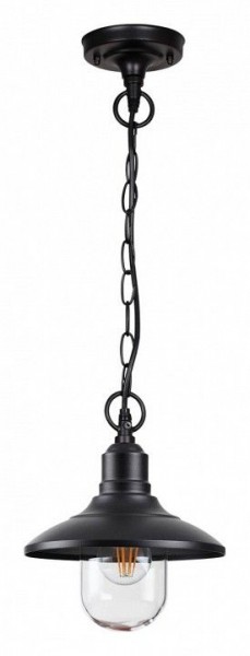 Подвесной светильник Odeon Light Campa 4965/1 в Озерске - ozersk.mebel24.online | фото 3