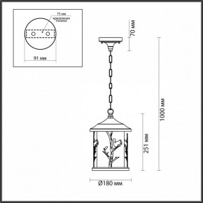 Подвесной светильник Odeon Light Cuita 4963/1 в Озерске - ozersk.mebel24.online | фото 6