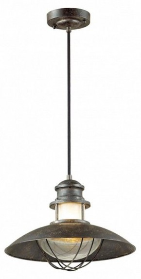 Подвесной светильник Odeon Light Dante 4164/1 в Озерске - ozersk.mebel24.online | фото 2