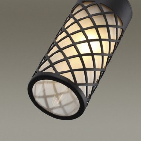 Подвесной светильник Odeon Light Dunes 4834/1 в Озерске - ozersk.mebel24.online | фото 6