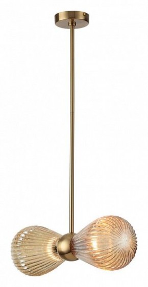 Подвесной светильник Odeon Light Elica 5402/2 в Озерске - ozersk.mebel24.online | фото 2