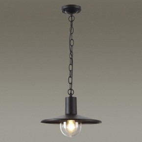 Подвесной светильник Odeon Light Furcadia 4833/1 в Озерске - ozersk.mebel24.online | фото 3