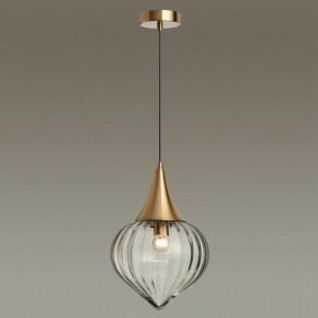 Подвесной светильник Odeon Light Kesta 4950/1 в Озерске - ozersk.mebel24.online | фото 2