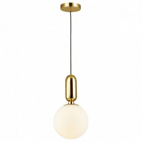 Подвесной светильник Odeon Light Okia 4669/1 в Озерске - ozersk.mebel24.online | фото 2