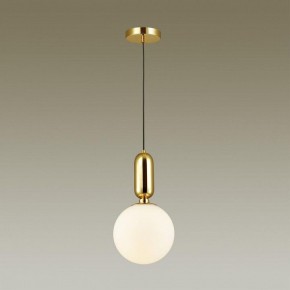 Подвесной светильник Odeon Light Okia 4669/1 в Озерске - ozersk.mebel24.online | фото 4