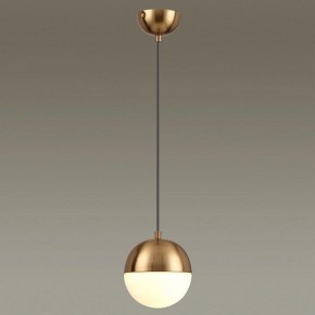 Подвесной светильник Odeon Light Pinga 4960/1 в Озерске - ozersk.mebel24.online | фото 2