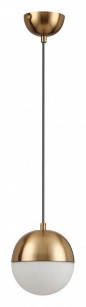 Подвесной светильник Odeon Light Pinga 4960/1 в Озерске - ozersk.mebel24.online | фото 3