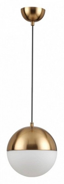 Подвесной светильник Odeon Light Pinga 4960/1A в Озерске - ozersk.mebel24.online | фото 3