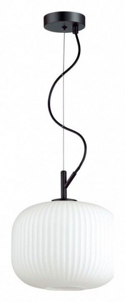 Подвесной светильник Odeon Light Roofi 4753/1 в Озерске - ozersk.mebel24.online | фото 2