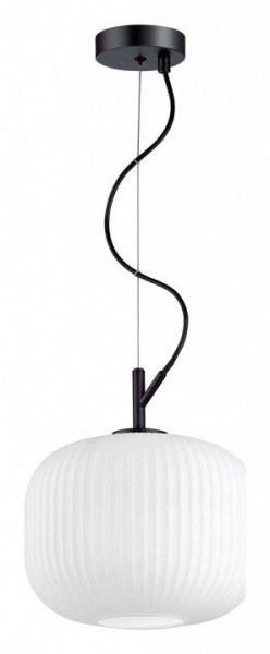 Подвесной светильник Odeon Light Roofi 4753/1 в Озерске - ozersk.mebel24.online | фото 3