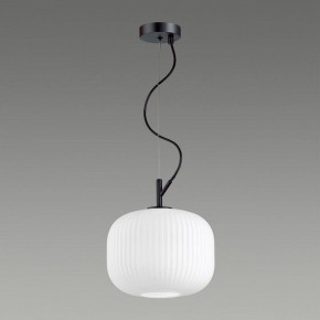 Подвесной светильник Odeon Light Roofi 4753/1 в Озерске - ozersk.mebel24.online | фото 4