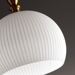 Подвесной светильник Odeon Light Runga 4766/1 в Озерске - ozersk.mebel24.online | фото 8