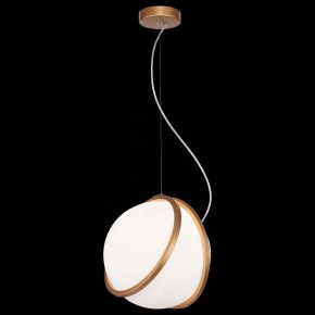 Подвесной светильник ST-Luce Acerra SL1181.353.01 в Озерске - ozersk.mebel24.online | фото 4