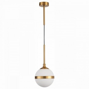 Подвесной светильник ST-Luce Arbe SL1157.303.01 в Озерске - ozersk.mebel24.online | фото 2