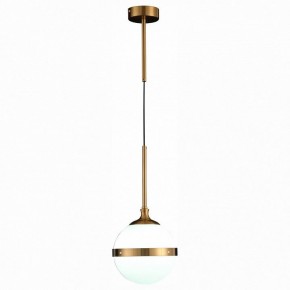Подвесной светильник ST-Luce Arbe SL1157.303.01 в Озерске - ozersk.mebel24.online | фото 3