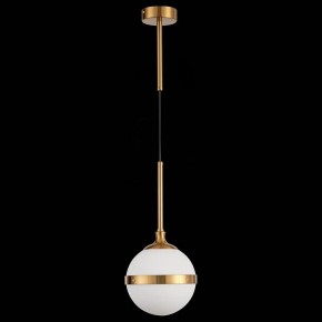 Подвесной светильник ST-Luce Arbe SL1157.303.01 в Озерске - ozersk.mebel24.online | фото 4