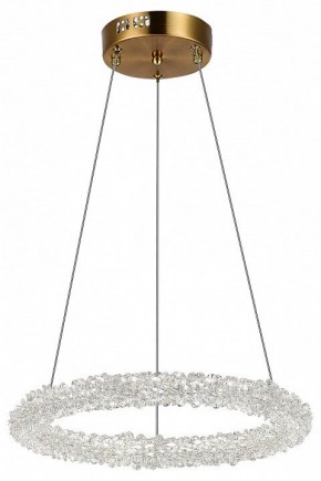 Подвесной светильник ST-Luce Avana SL6110.203.01 в Озерске - ozersk.mebel24.online | фото 5
