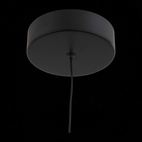 Подвесной светильник ST-Luce Bisaria SL393.403.01 в Озерске - ozersk.mebel24.online | фото 8