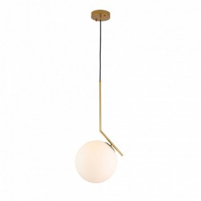 Подвесной светильник ST-Luce Codda SL1148.303.01 в Озерске - ozersk.mebel24.online | фото 2