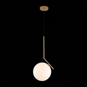 Подвесной светильник ST-Luce Codda SL1148.303.01 в Озерске - ozersk.mebel24.online | фото 5