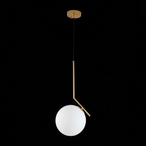 Подвесной светильник ST-Luce Codda SL1148.303.01 в Озерске - ozersk.mebel24.online | фото 6
