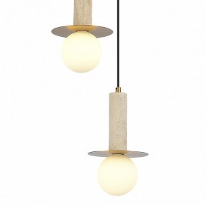 Подвесной светильник ST-Luce Earthy SL1194.303.03 в Озерске - ozersk.mebel24.online | фото 4