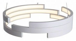 Подвесной светильник ST-Luce Genuine SL963.503.01 в Озерске - ozersk.mebel24.online | фото