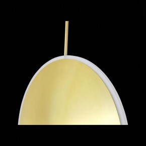Подвесной светильник ST-Luce Imente SL1221.213.01 в Озерске - ozersk.mebel24.online | фото 9