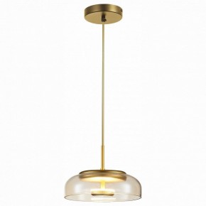 Подвесной светильник ST-Luce Lacio SL6002.203.01 в Озерске - ozersk.mebel24.online | фото