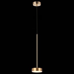 Подвесной светильник ST-Luce Pances SL6000.303.01 в Озерске - ozersk.mebel24.online | фото 4