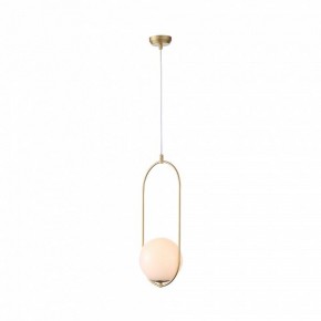 Подвесной светильник ST-Luce Penolo SL1118.203.01 в Озерске - ozersk.mebel24.online | фото 3