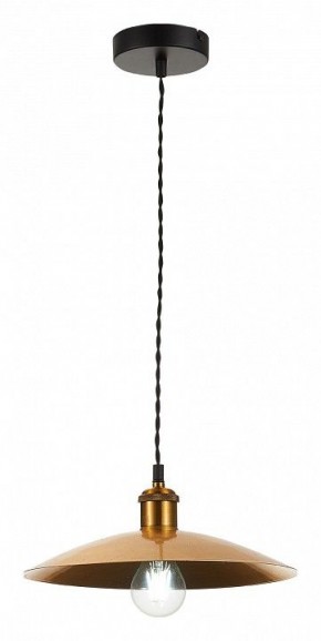 Подвесной светильник ST-Luce Romo SL1017.203.01 в Озерске - ozersk.mebel24.online | фото 4