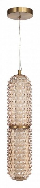 Подвесной светильник ST-Luce SAGUARO SL6144.303.01 в Озерске - ozersk.mebel24.online | фото 3