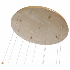 Подвесной светильник ST-Luce SL1116 SL1116.203.09 в Озерске - ozersk.mebel24.online | фото 4