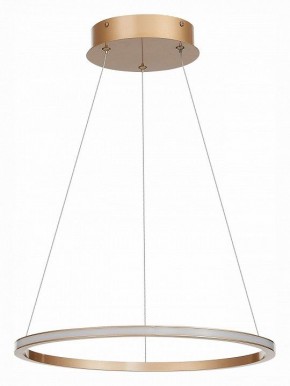 Подвесной светильник ST-Luce ST604 OUT ST604.243.22 в Озерске - ozersk.mebel24.online | фото 2