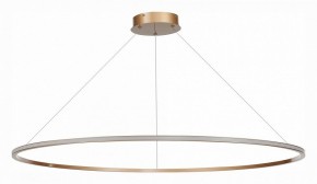 Подвесной светильник ST-Luce ST604 OUT ST604.243.57 в Озерске - ozersk.mebel24.online | фото 2