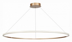 Подвесной светильник ST-Luce ST604 OUT ST604.243.57 в Озерске - ozersk.mebel24.online | фото 3